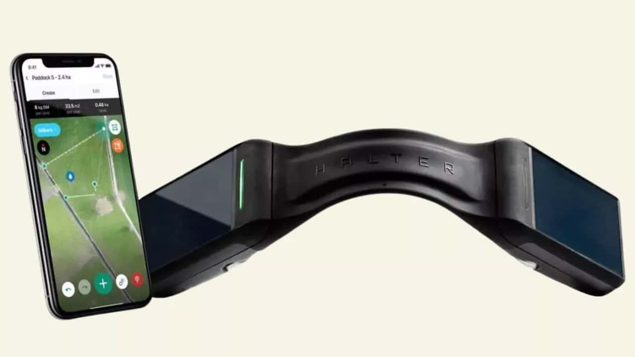 GPS, AI e pannello solare per gestire la mandria da smartphone. La startup Halter raccoglie 315 milioni e conquista Peter Thiel
