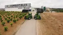 Merlo: in Spagna i sollevatori tra mandorle e combustibili eco