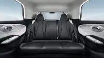 Dongfeng Box 2024