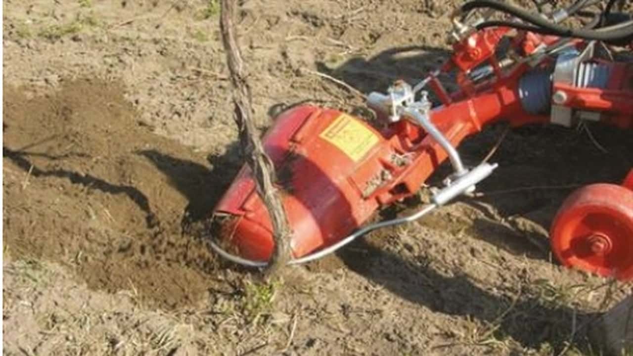 BFM: fresa automatica interceppi B1
