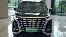 BYD Denza D9