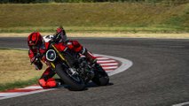 2023 Ducati Monster SP - Apex