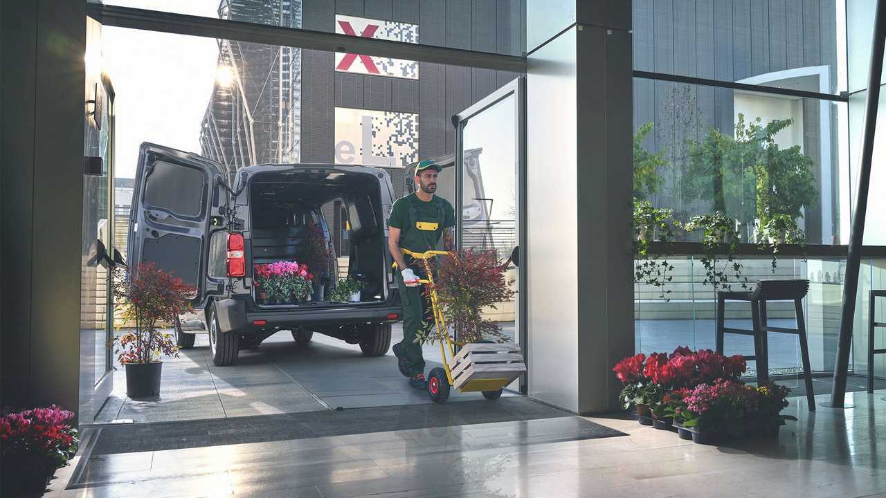 Fiat Professional Shield