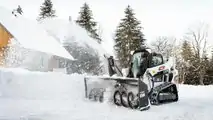 Bobcat Neve