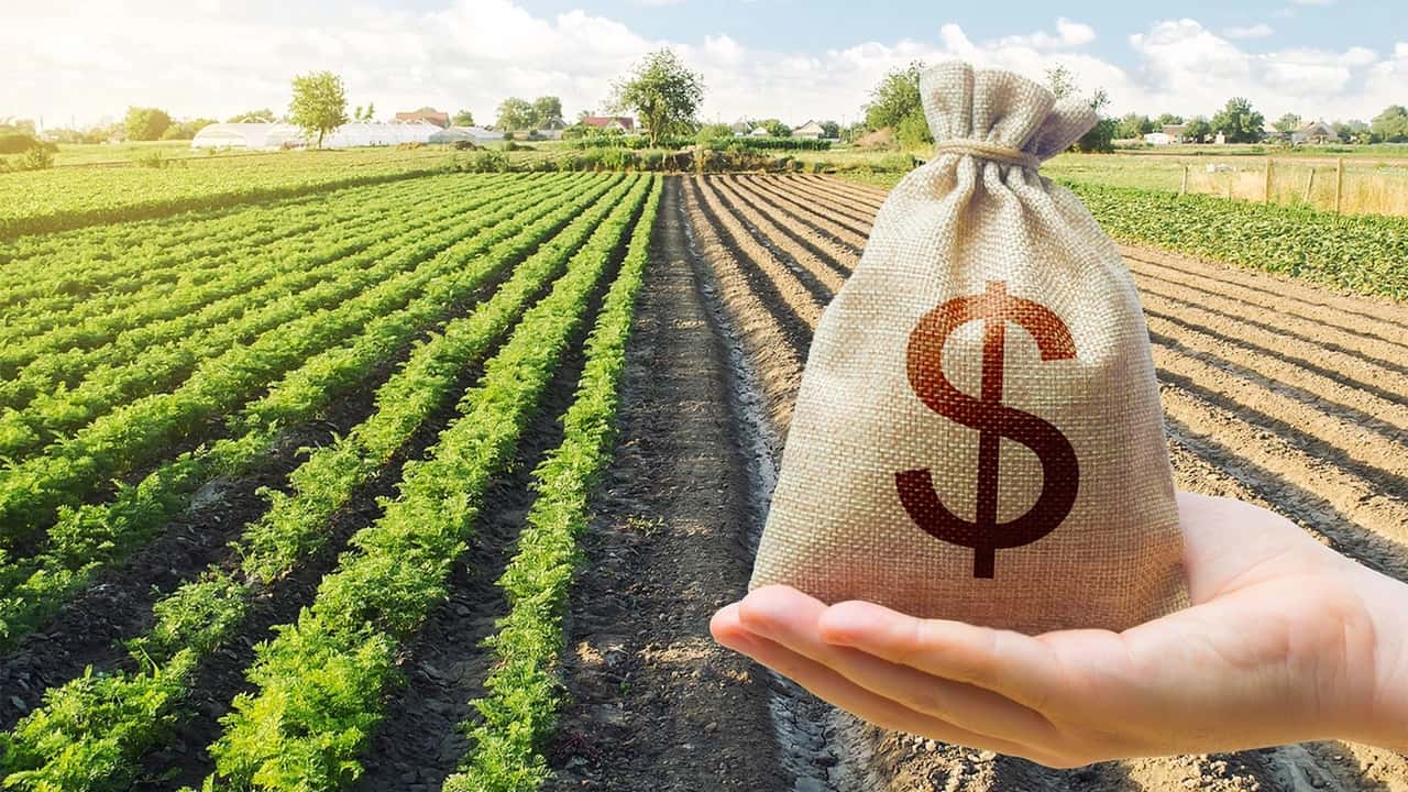 Agricoltura sotto il mirino dei dazi: l’Europa pronta a rispondere, ma la coesione resta fondamentale