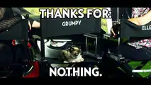 Opel Grumpy Cat Calendar