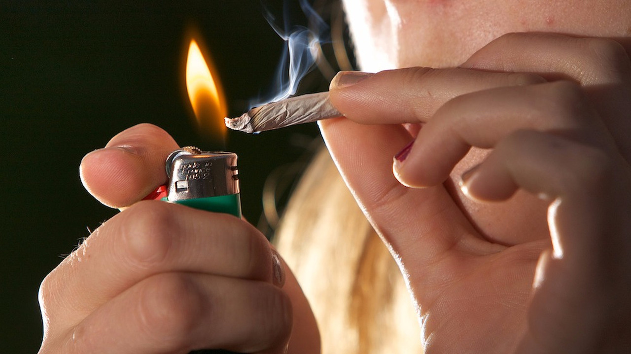 Halifax police begin pilot project testing drugged drivers