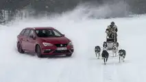 2017 SEAT Leon Cupra ST races sled pulled by huskies