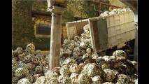 Tequila auf Rädern