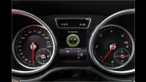 Bergpassziege und Autobahnelefant