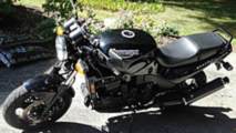 Online Find Panjo Edition - 1995 Triumph Speed Triple