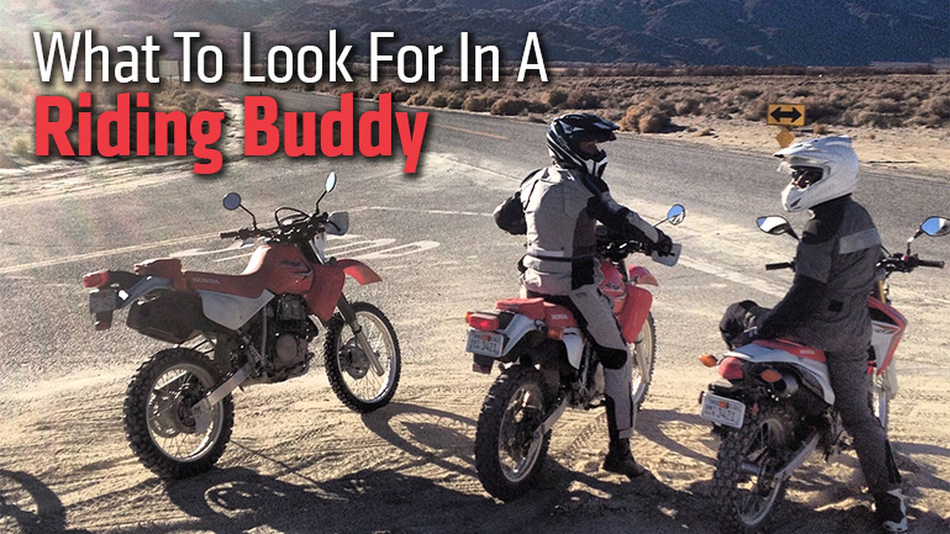What To Look For In A Riding Buddy