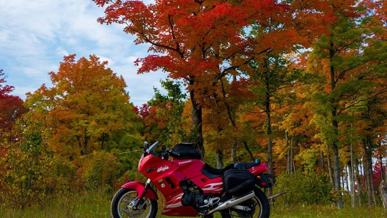 The little ninja that could … a thousand miles from home, somewhere in Canada