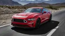 This Mustang looks like a wilder pony