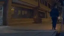 Burglar Gives Cops Proof To Arrest Him By Breaking Tesla's Window