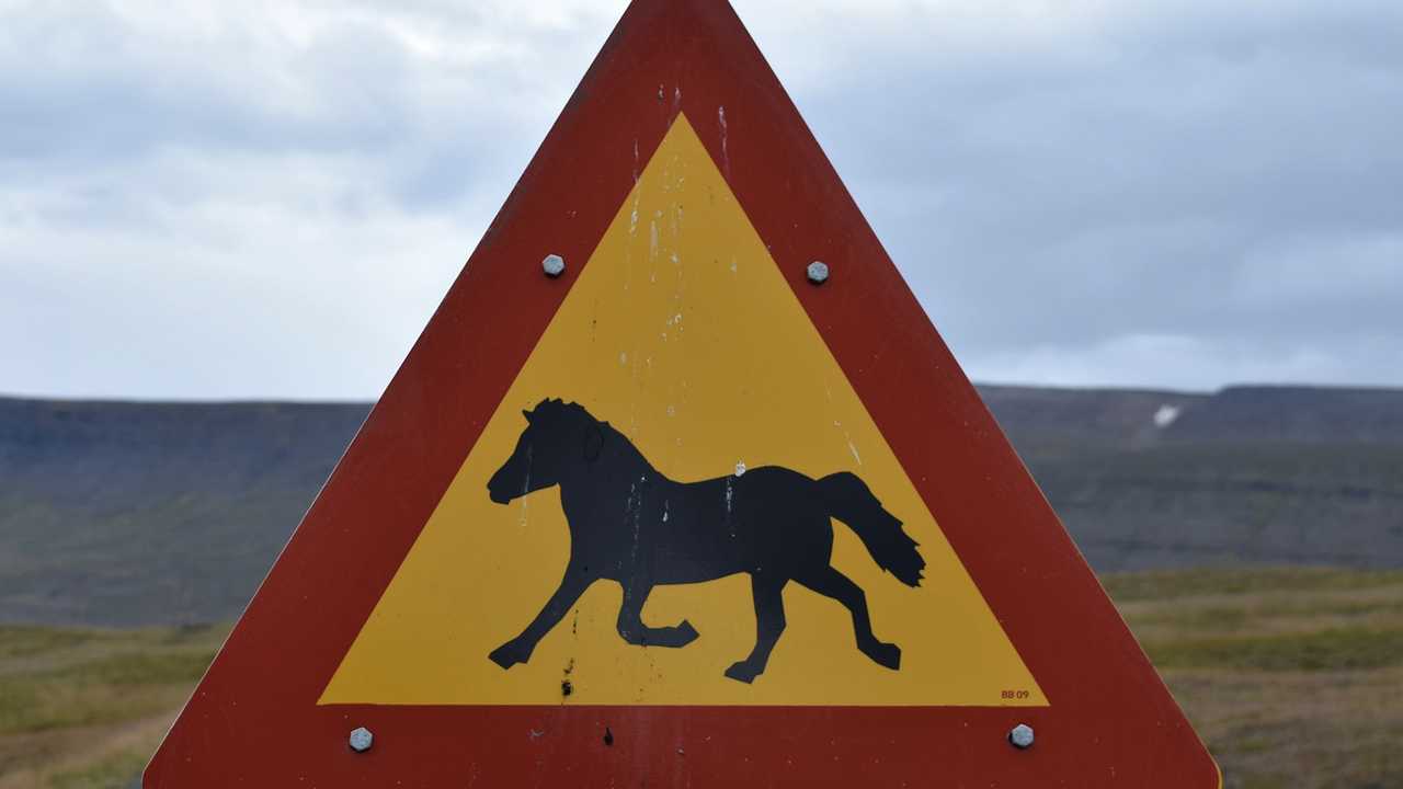 iceland