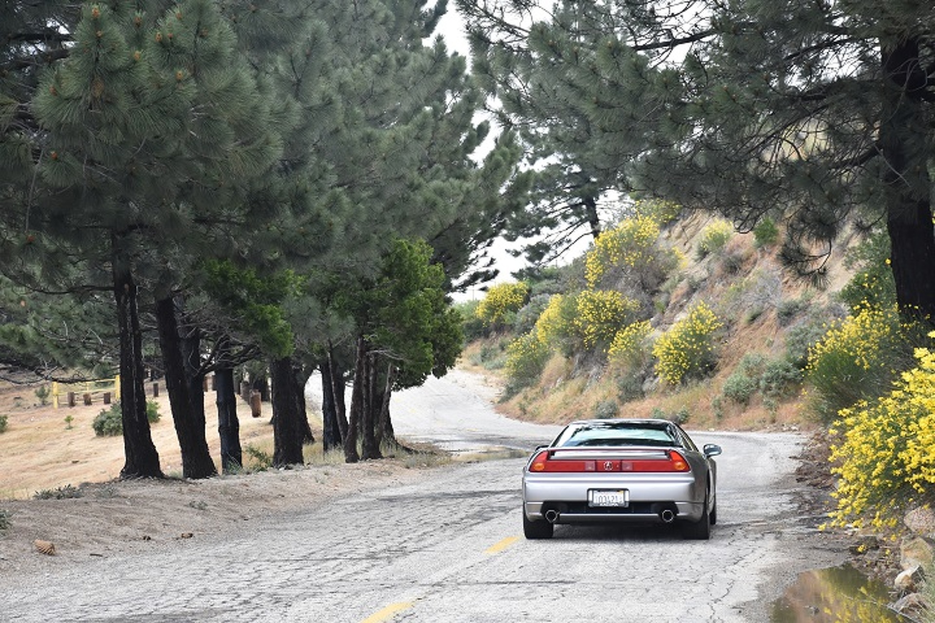 Taking a Trip Down Memory Lane With the 2005 Acura NSX: Video Review