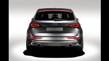 Audi Q5 custom concept