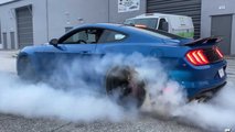Ford Mustang Shelby GT500 Versus Ford GT Drag Race