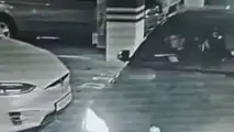 Tesla Model X Shot With Handgun