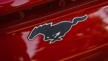 2021 Ford Mustang Mach-E
