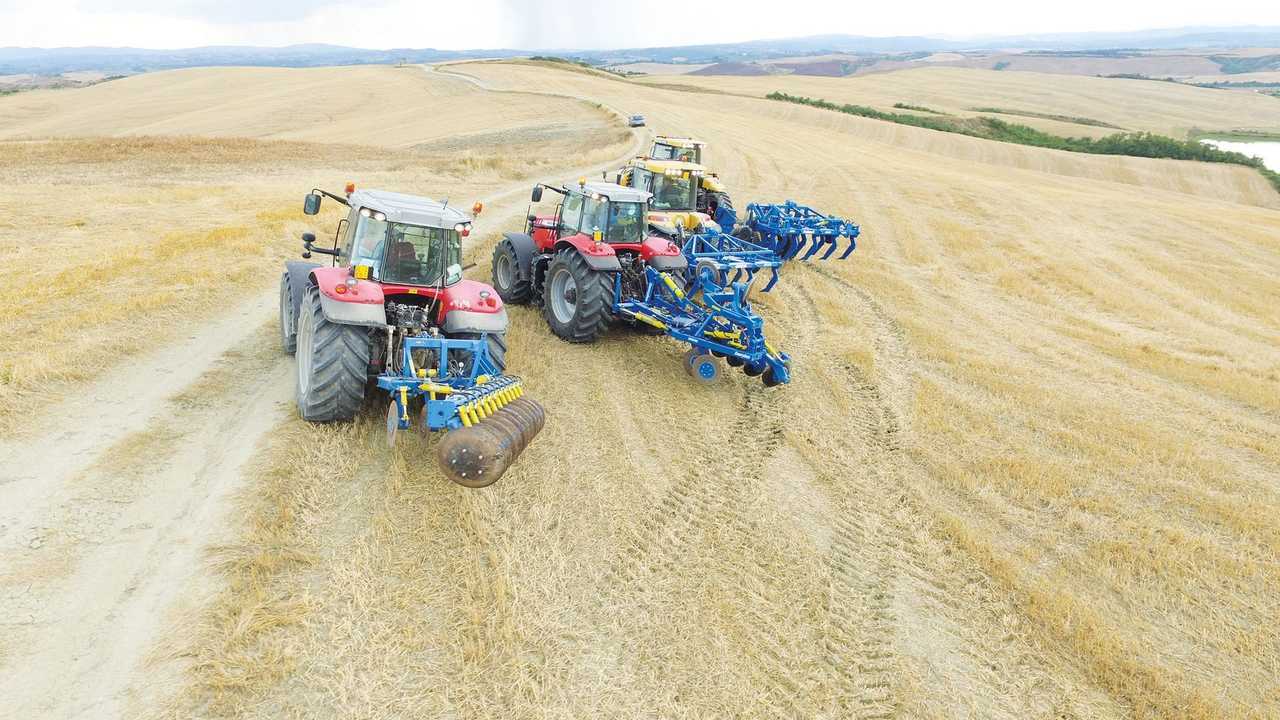 Raptor e Predator Di Raimondo