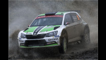 Rallye-WM: VW steigt aus