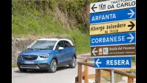 Meriva-Erbe mit französischer DNA