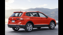 VW auf der NAIAS 2017