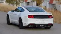 2018 Roush Ford Mustang Spy Photos