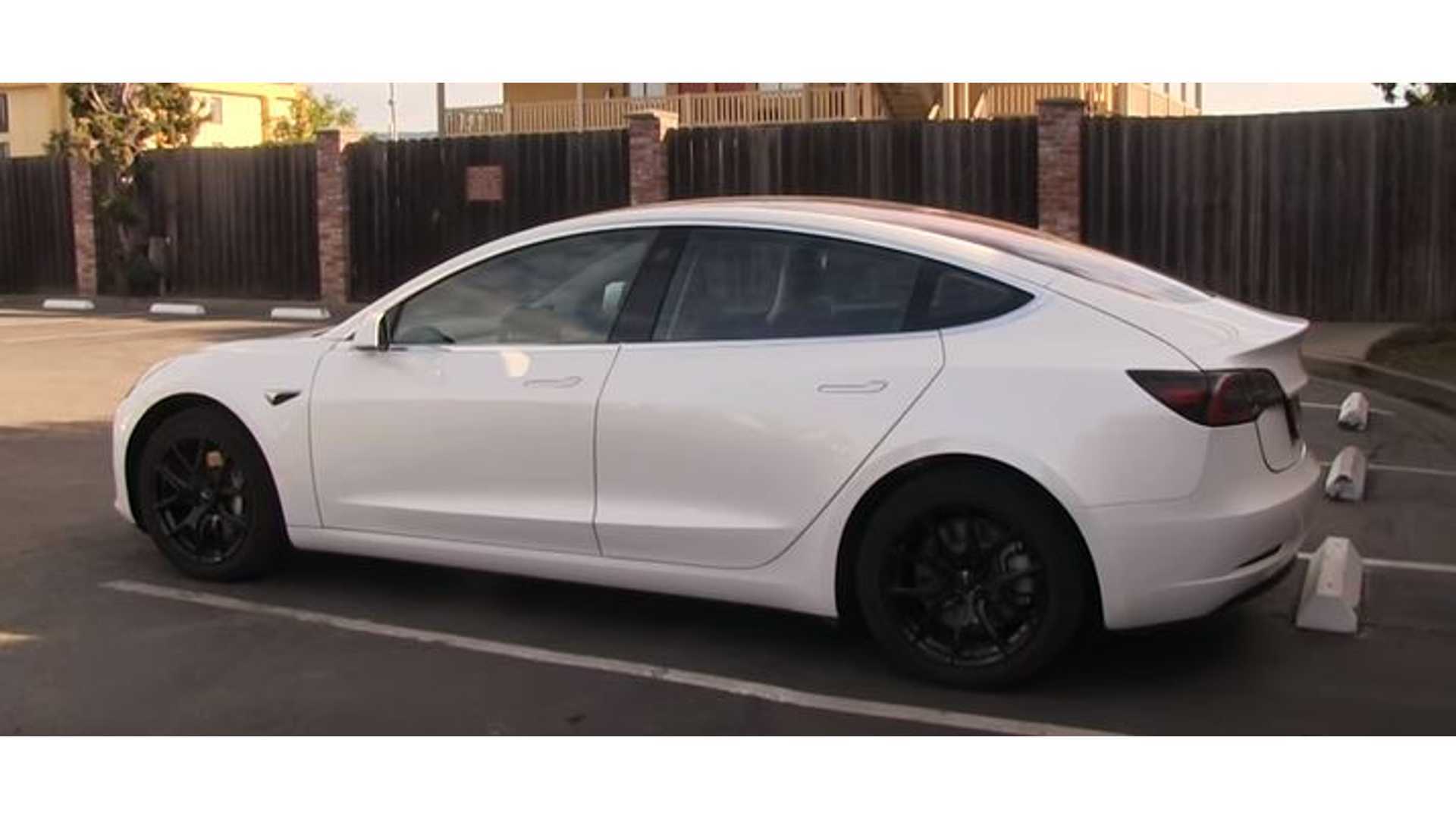 Find Out Which Tesla Model 3 Body Parts Are