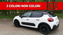 citroen c3 pro e contro