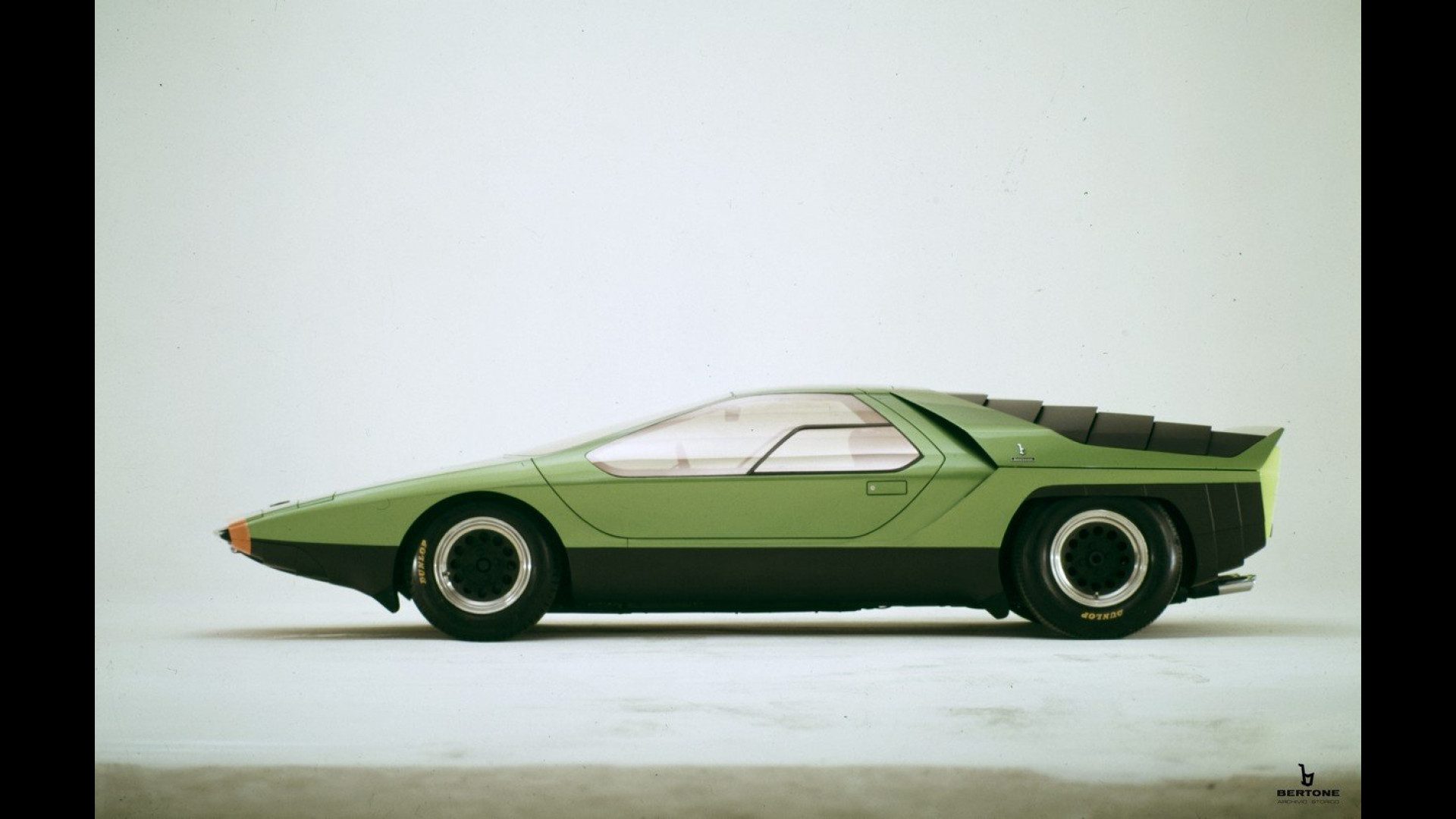 bertone-carabo-un-coleottero-da-sogno.jp
