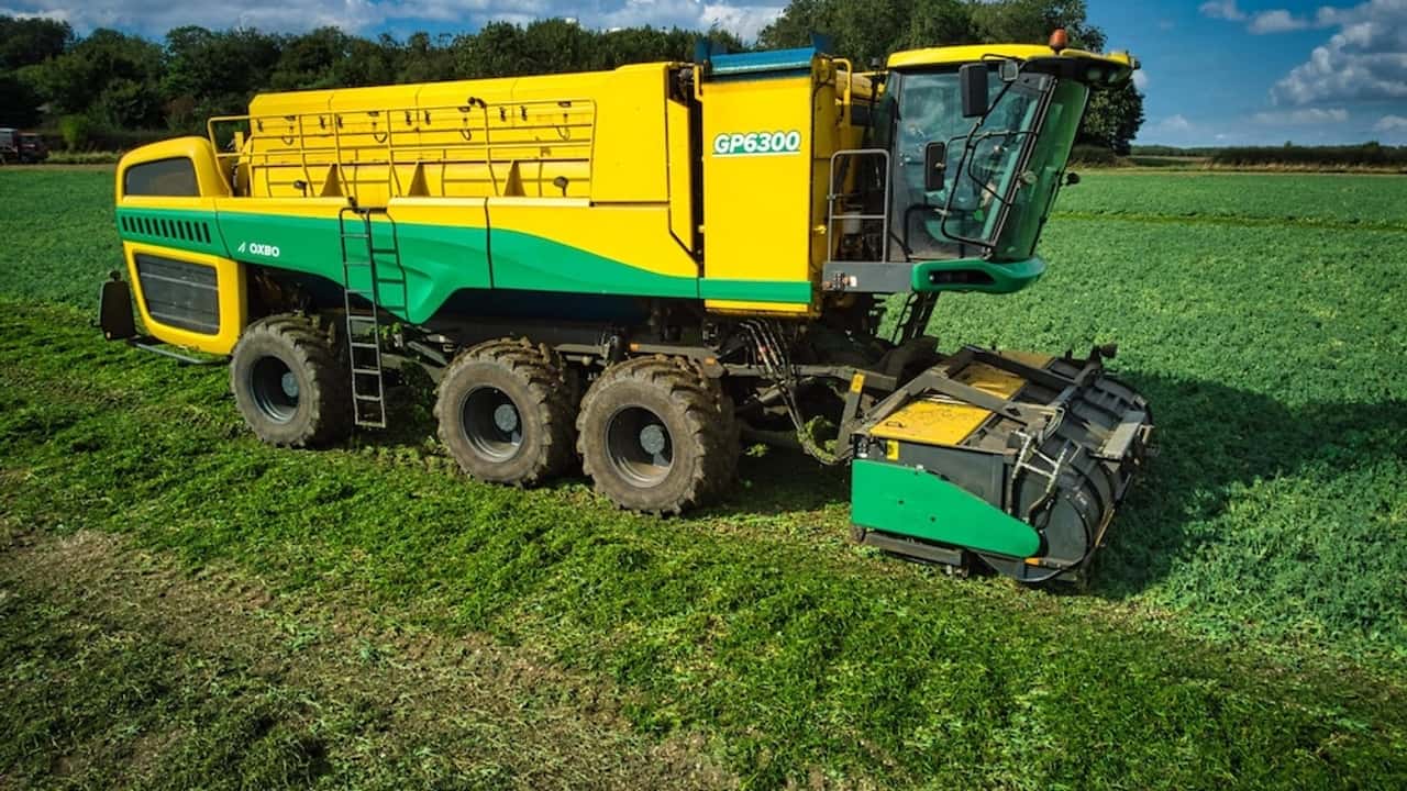 Oxbo GP6300: raccoglitrice di piselli 2 o 3 assi ad alta resa