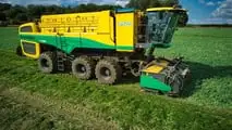 Oxbo GP6300: raccoglitrice di piselli 2 o 3 assi ad alta resa