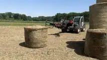 Massey Ferguson: trattori MF 1M e sollevatori telescopici MF TH DYNA-CT 2026