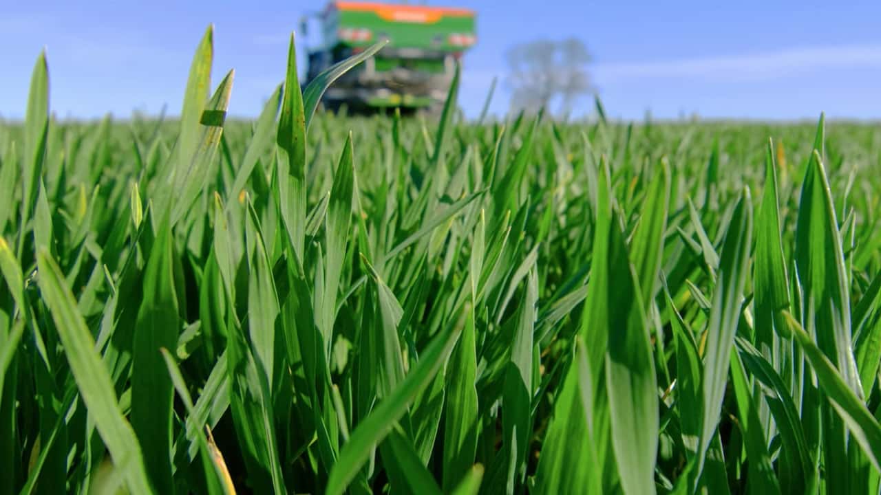 UE sospende dazi su fertilizzanti: sollievo per agricoltori