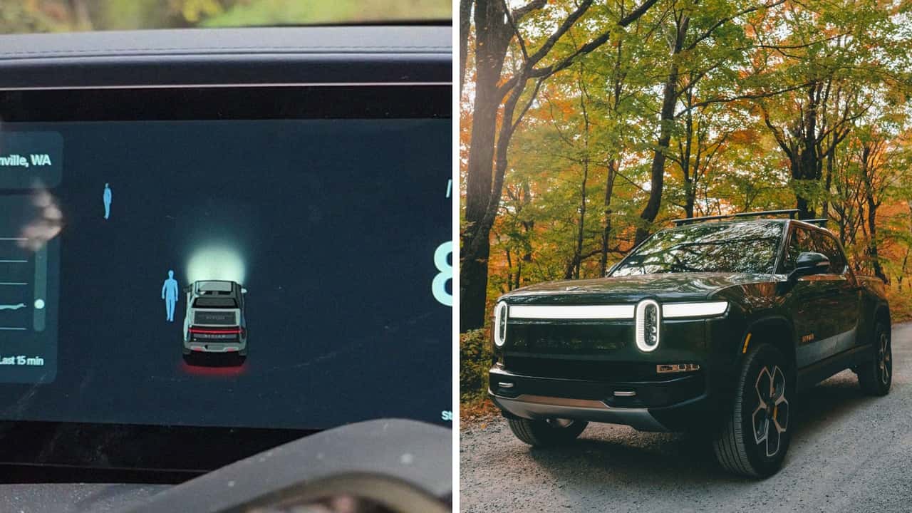 Man Drives Through the Woods