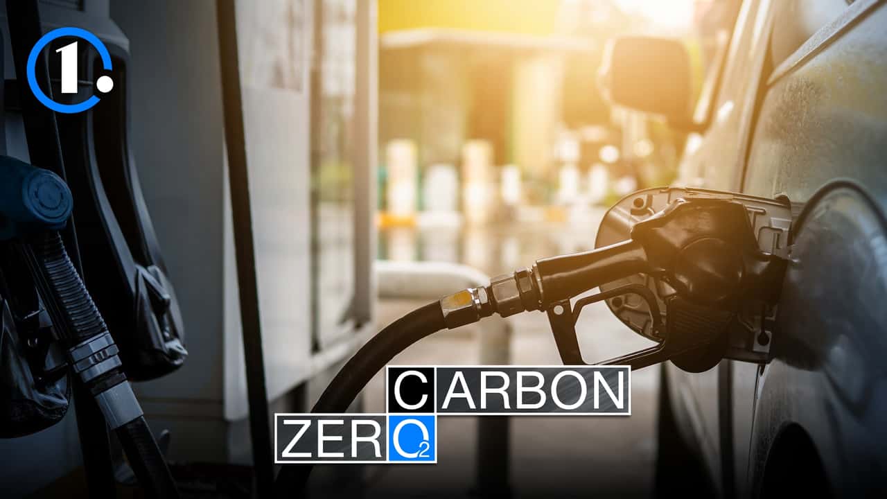 Diesel vegetale, quanta CO2 risparmia il 