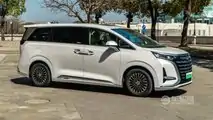 Denza D9