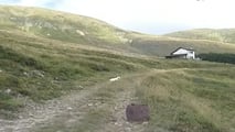 Successione di terreni montani: chi ha diritto al codice M