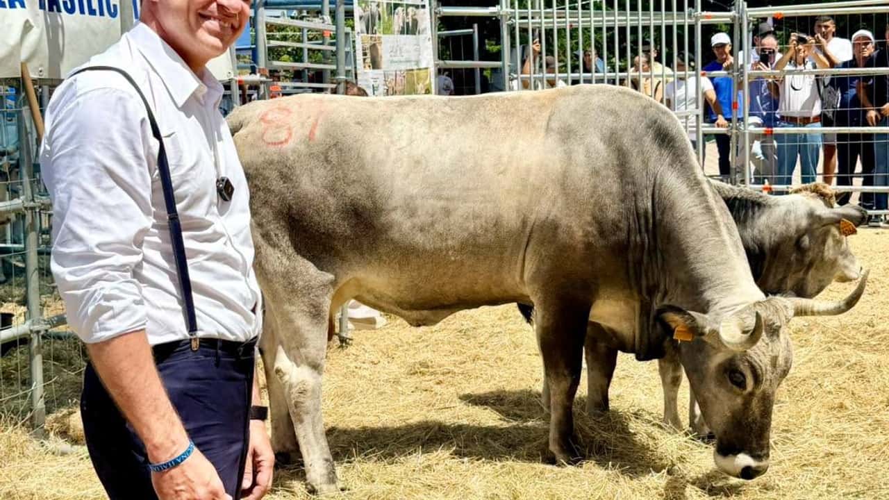coltiva-italia-1-miliardo-per-lagricoltura-ma-chi-ci-guadagna