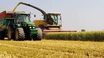 Contributi INAIL agricoltura: sconto di quasi 5 punti