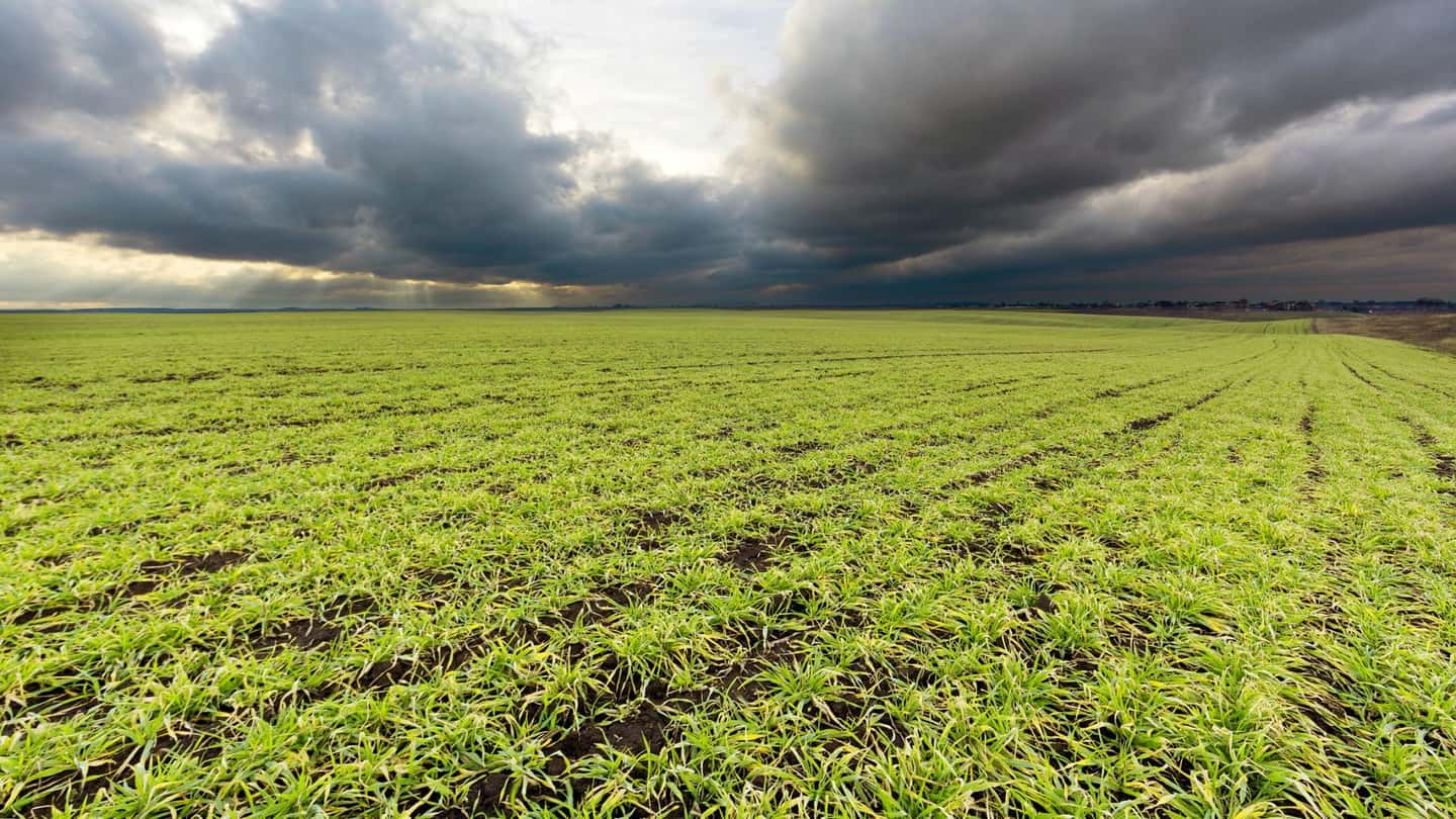 Come costruire il piano assicurativo agricolo 2026 passo passo