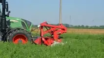 Fendt 313 Vario Profi: TEST CLASSIC