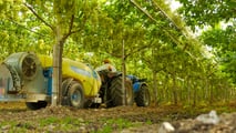 Abbinare gomme e trattori specialistici ribassati nei vigneti a pergola