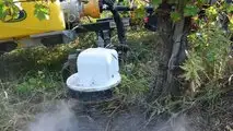 Caffini GrassKiller14