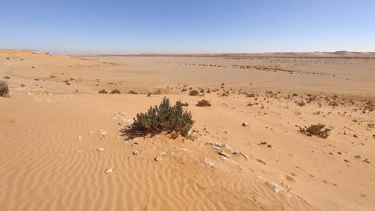 Foto di Dakar 2022, nel deserto con un'Audi Q5 Sportback
