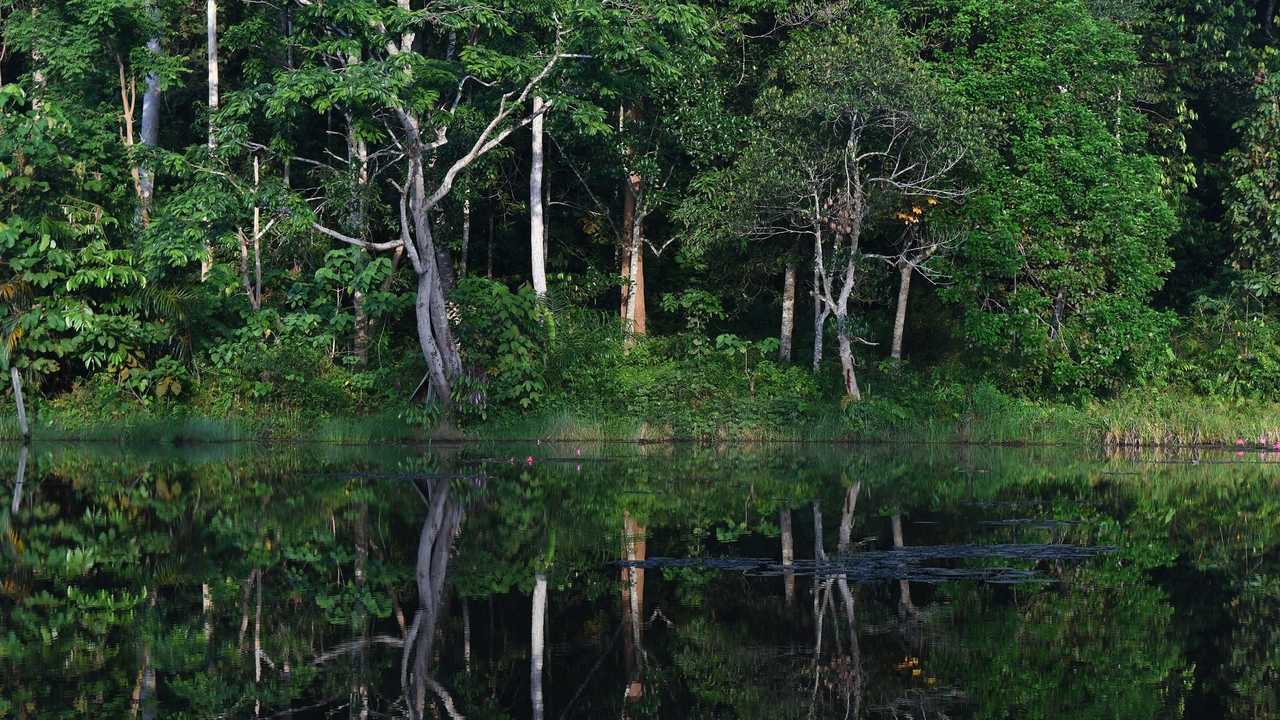 Progetto con Pirelli per la produzione di gomma naturale in Indonesia