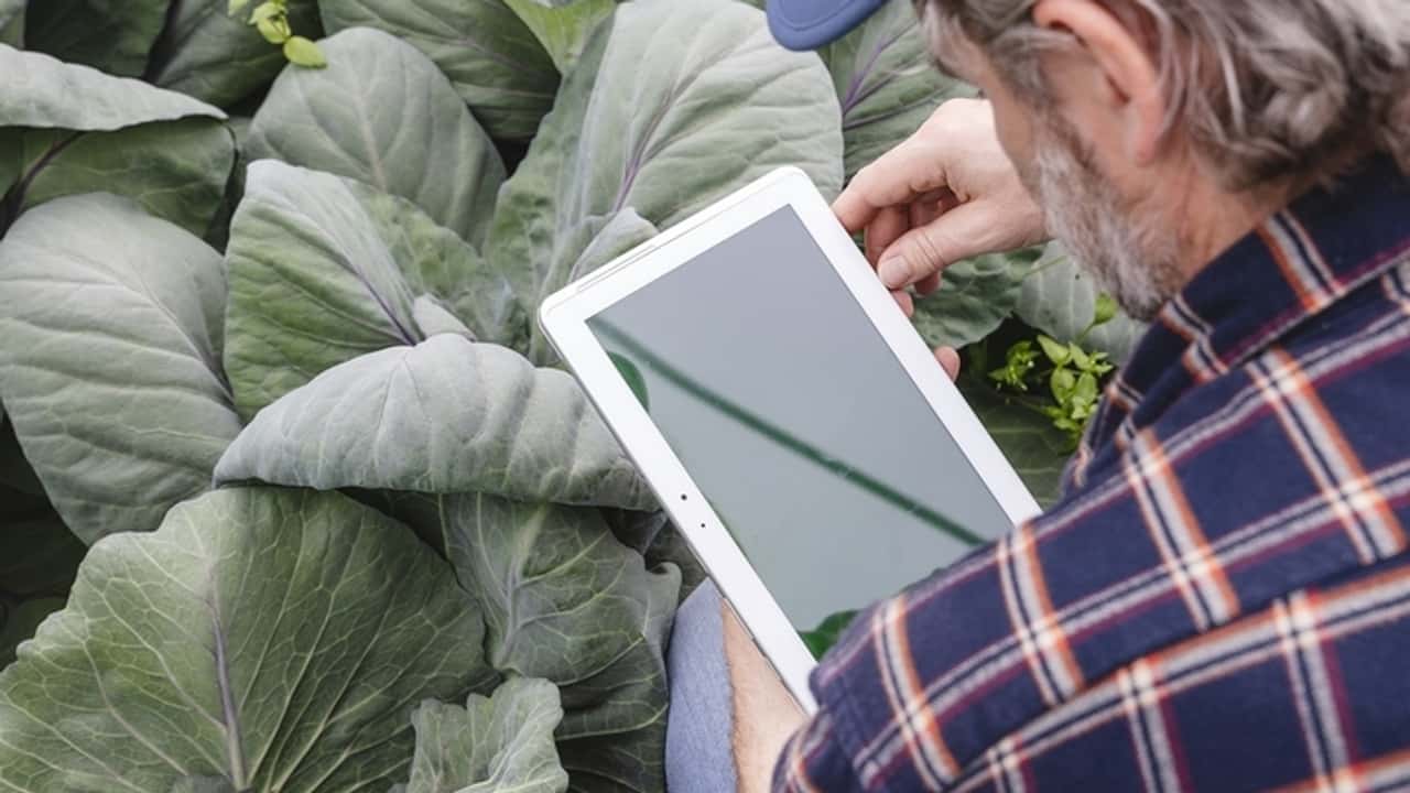 Ammortizzatori sociali 2025: novità e impatti per il settore agricolo